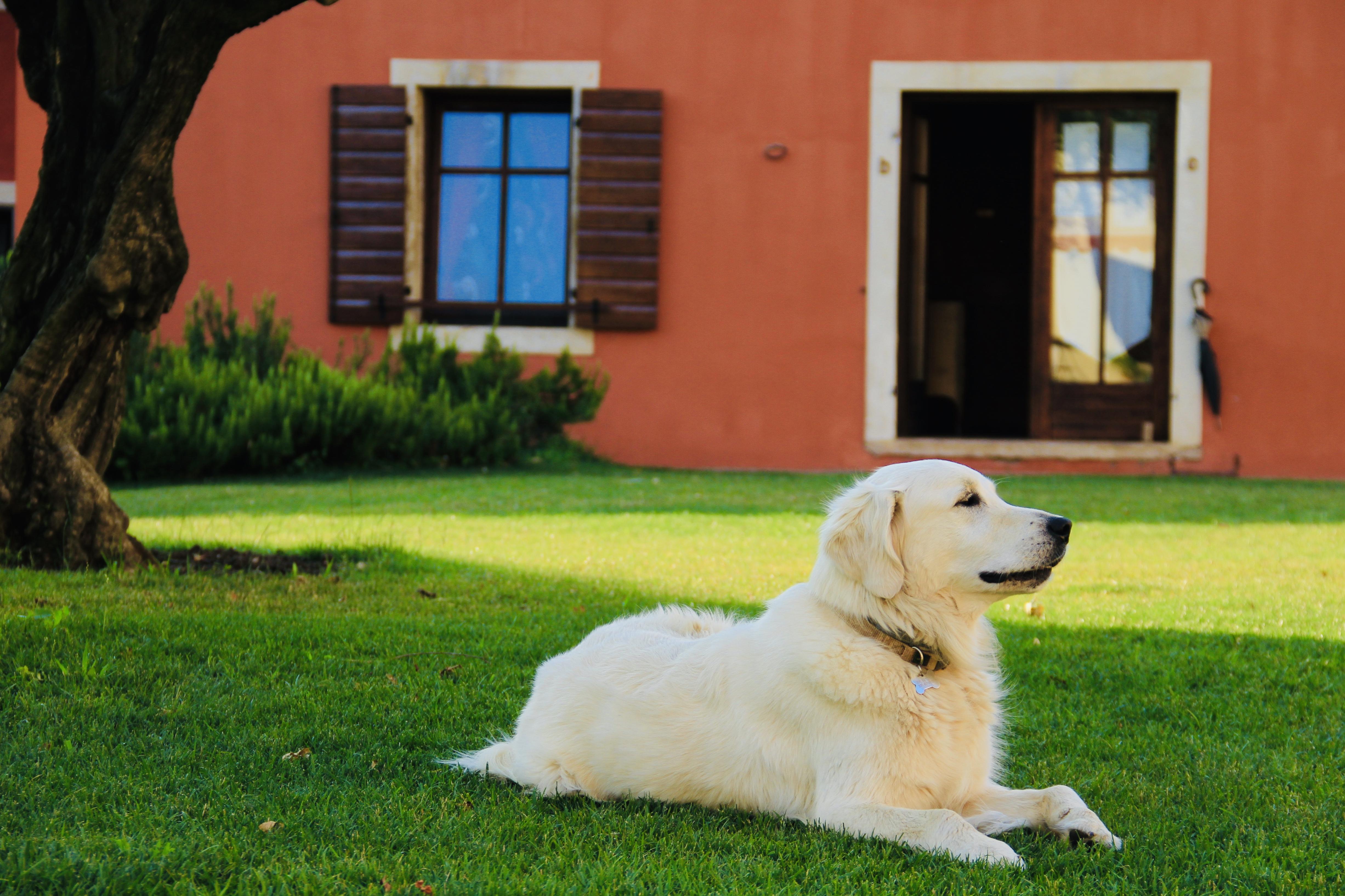 Musella Winery & Relais Guest House San Martino Buon Albergo Exterior foto