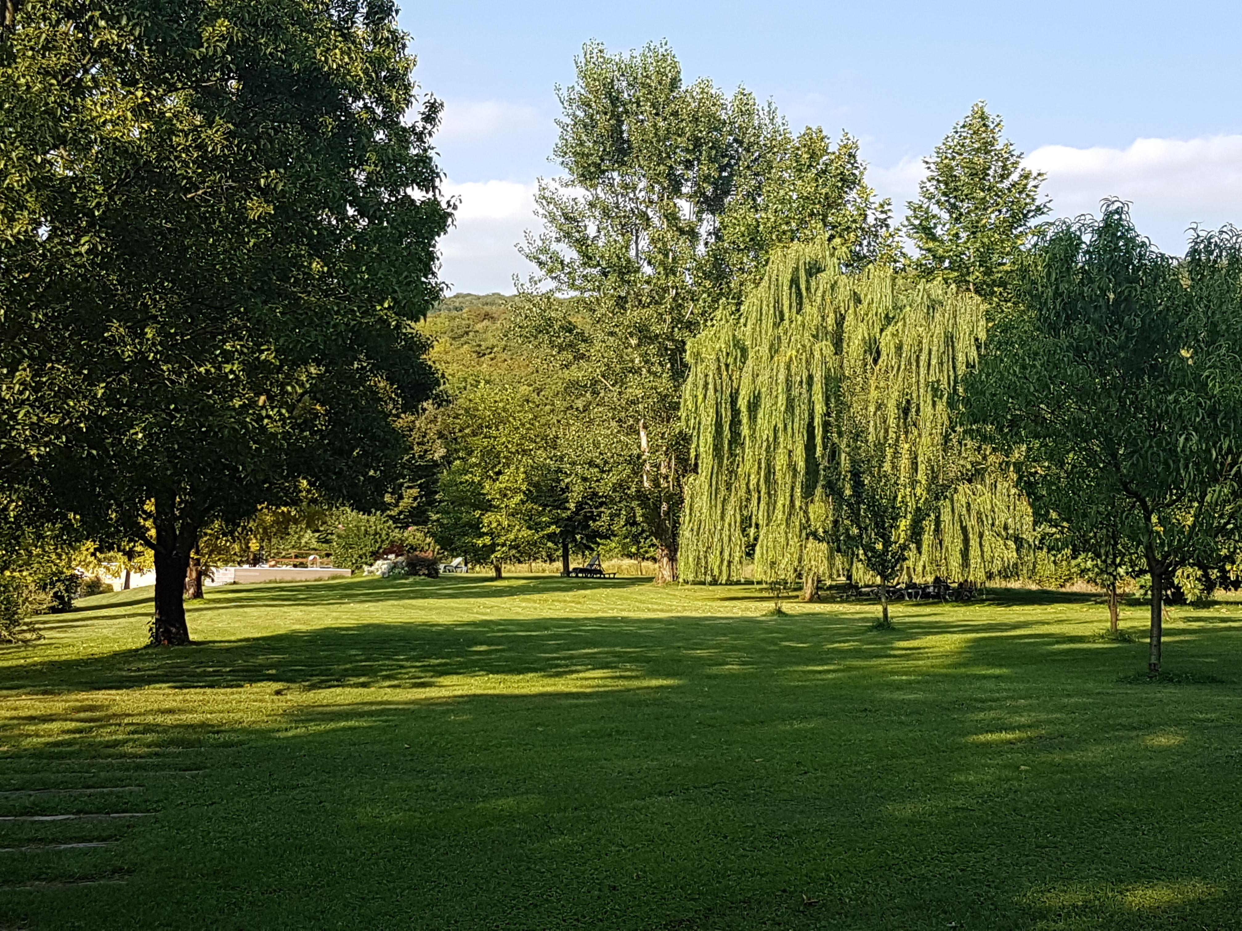 Musella Winery & Relais Guest House San Martino Buon Albergo Exterior foto